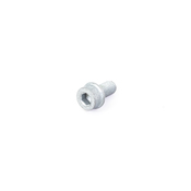 Audi VW Hex Socket Bolt - Rein N10303607