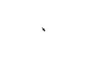 Porsche Rivet - OE Supplier 99959171240