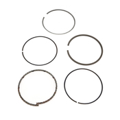 BMW Engine Piston Ring Set - Goetze 11251713178
