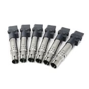 Audi Ignition Coil Kit - Beru 022905715BKT12