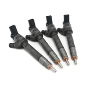 BMW Fuel Injector Kit - Bosch 0445110597KT