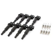 BMW Ignition Service Kit - Delphi/NGK 12138611236