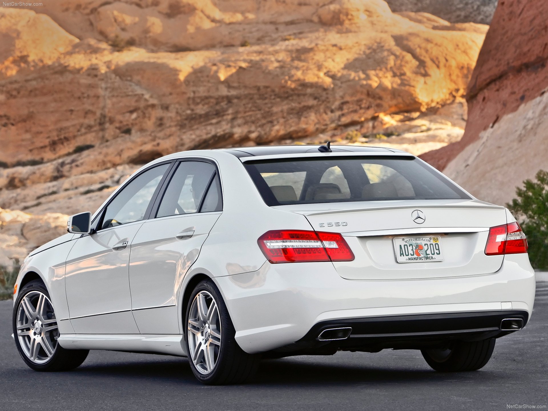 Mercedes-Benz-E550-2010-Rear_Three-Quarter.jpg