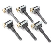 BMW Ignition Coil Kit (Set of 6) - Bosch 12131726177X6