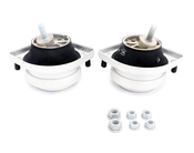 BMW Engine Mount Kit - 22111092895KT