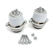 Porsche Engine Mount Kit - Corteco 49387391KT