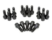 BMW Lug Bolt Kit (Set of 20) - 36136781150KT